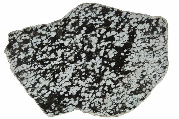 Polished Snowflake Obsidian Section - Utah #114201